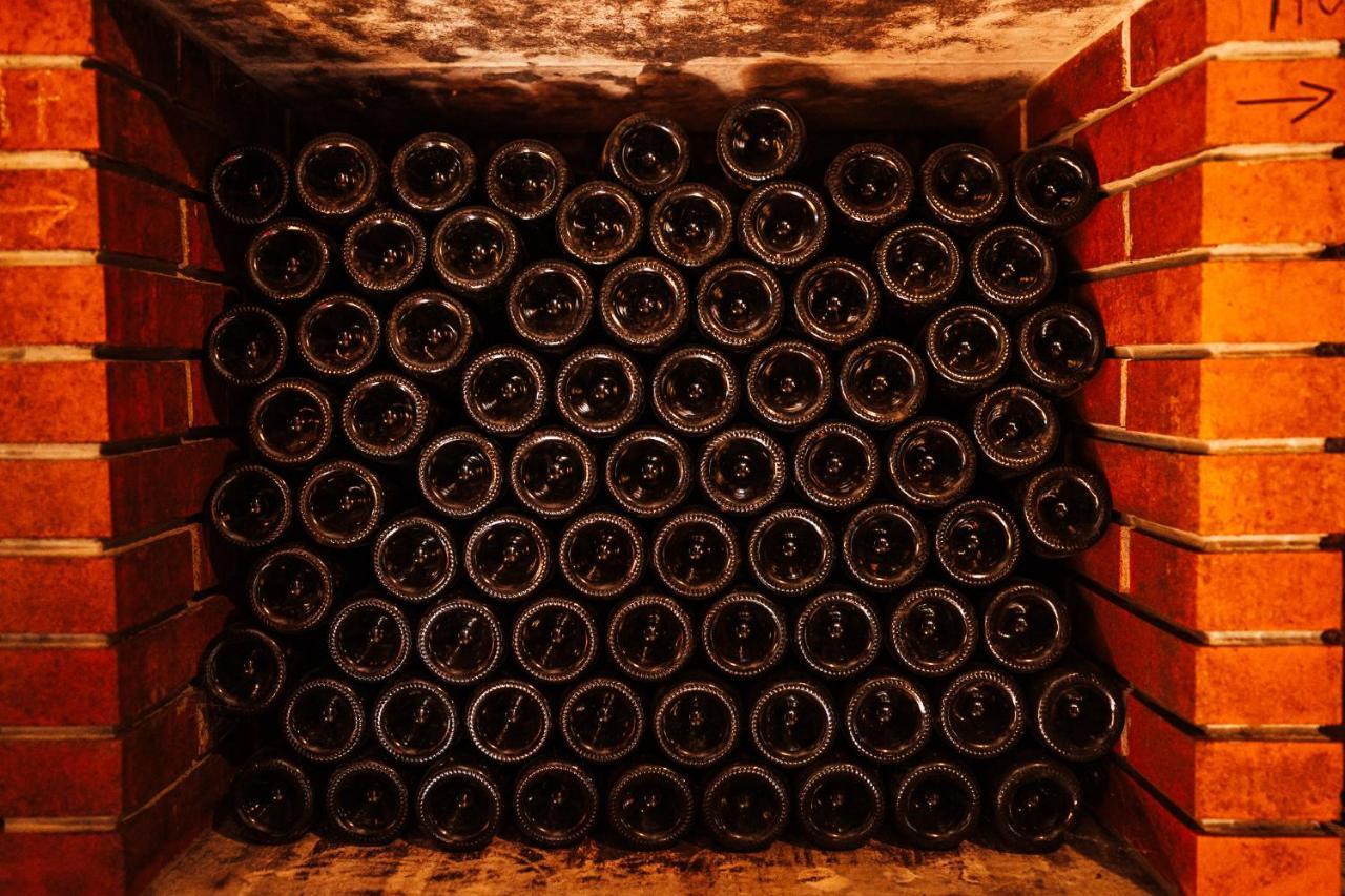Wine Paradise Glavinic Miklavz pri Ormozu Zewnętrze zdjęcie